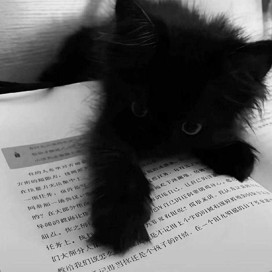 早就不信誓言.