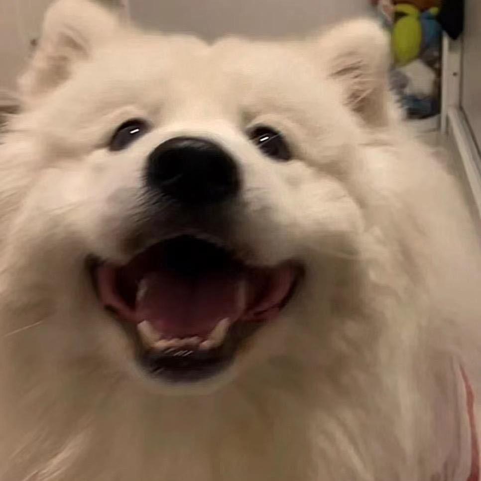 老展清真烧烤（小展）