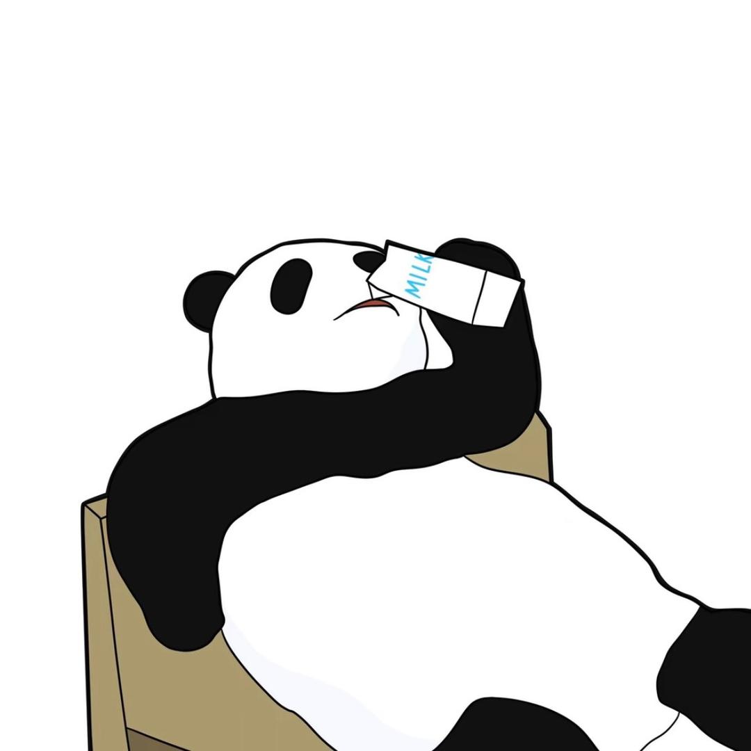 熊猫之影