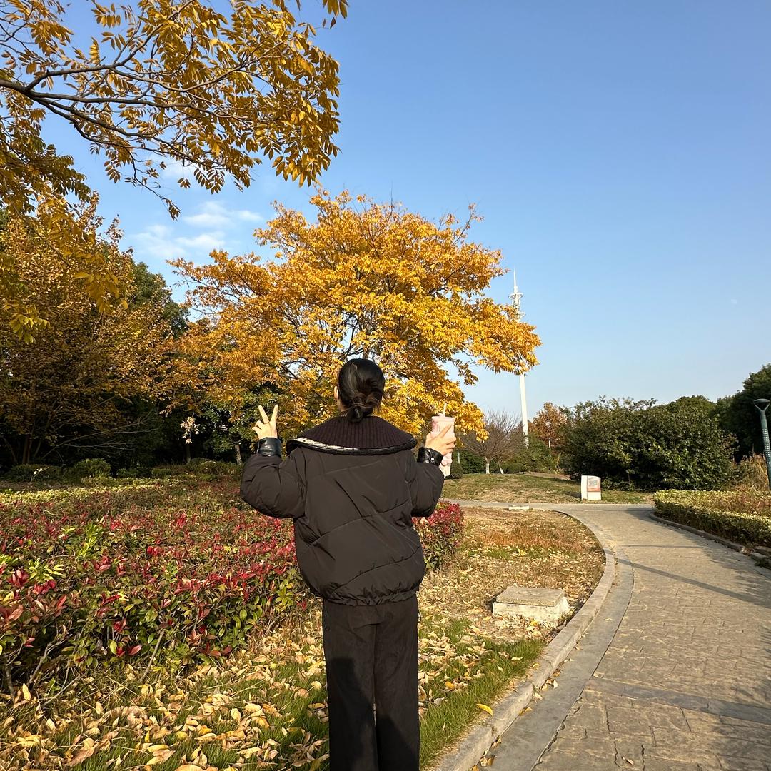 书书