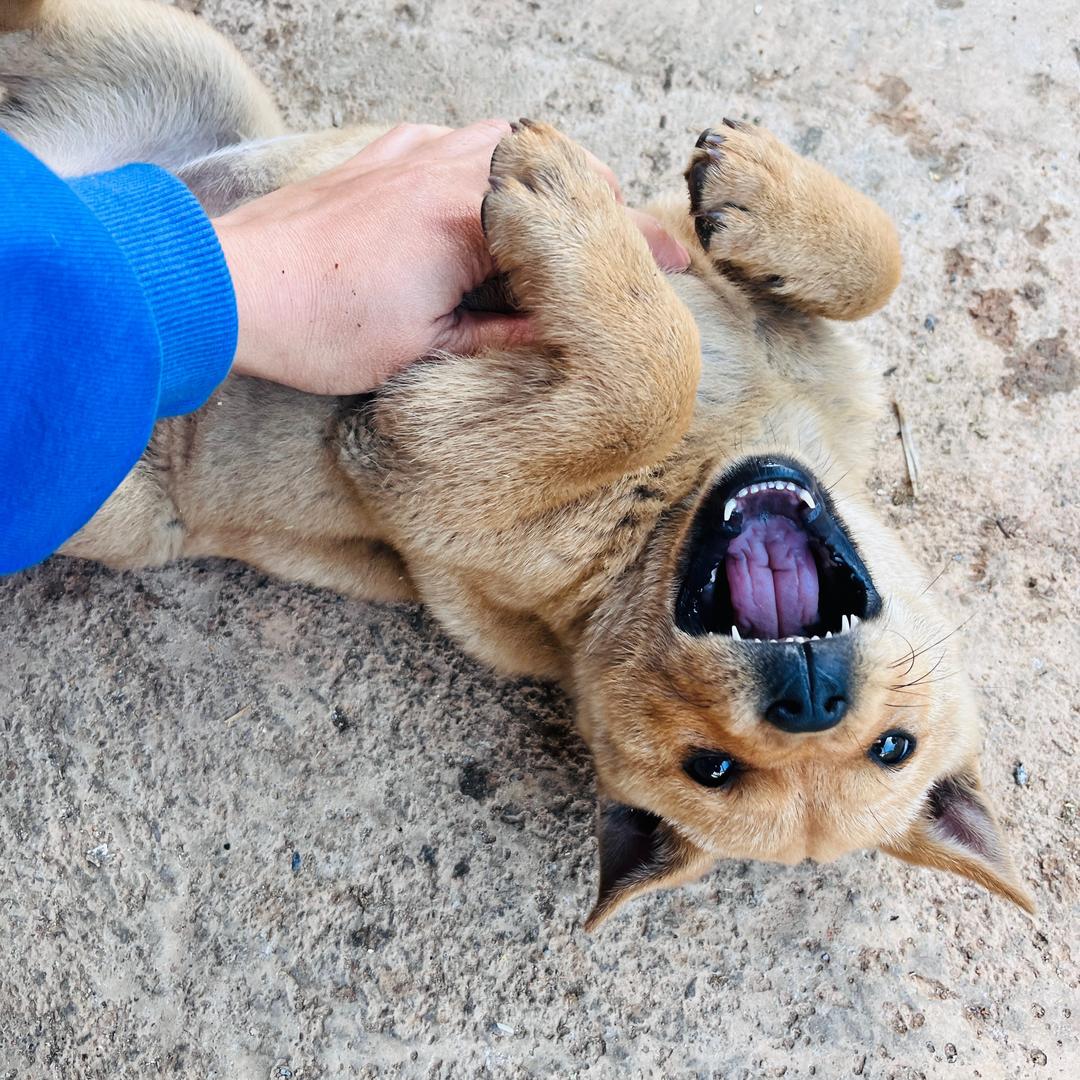 LU陆