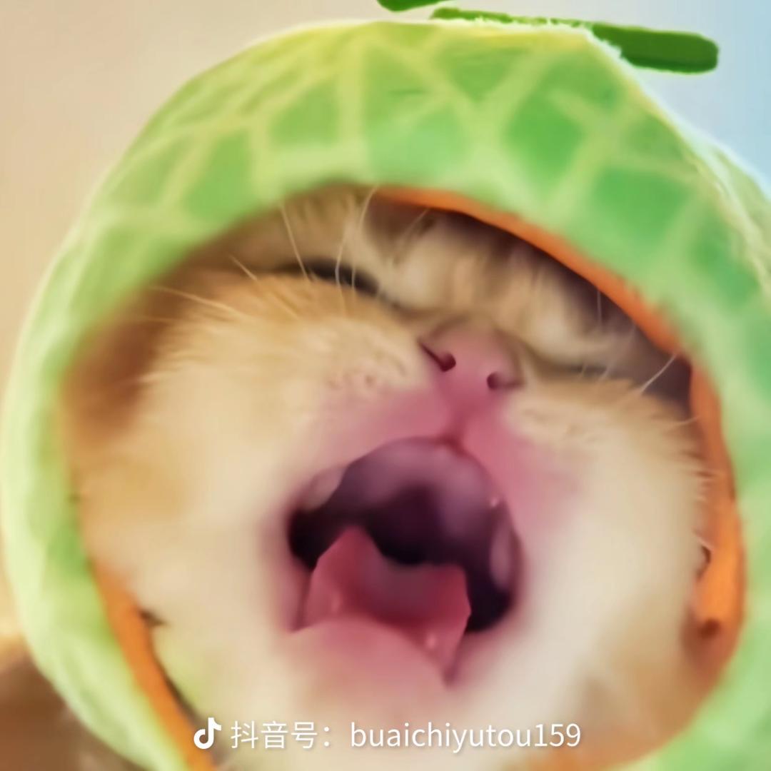 小宇嘉子