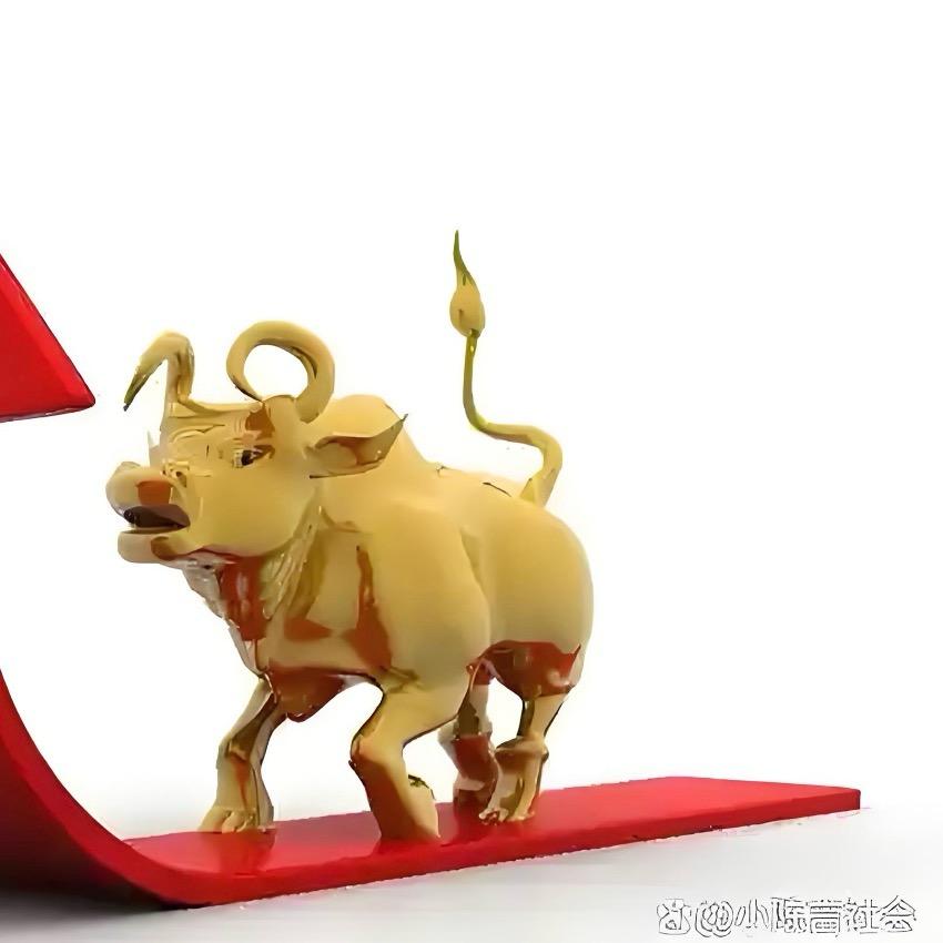 小作文找我