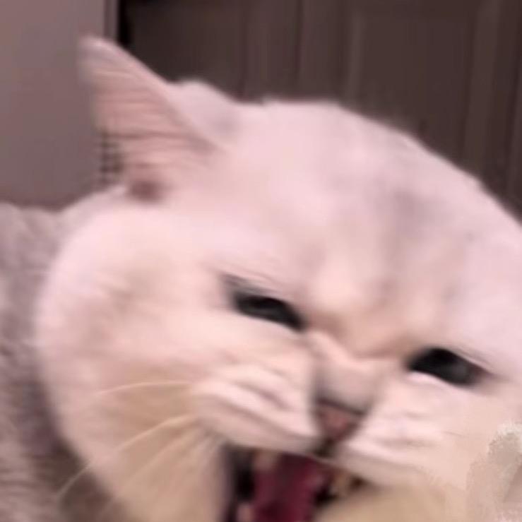 瓜瓜阿