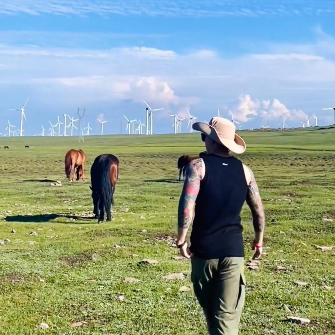 收完了麦子我就往南走