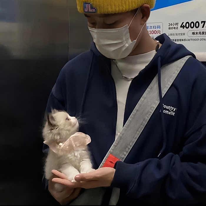 清扰