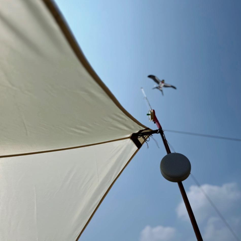 土豆南瓜我都爱