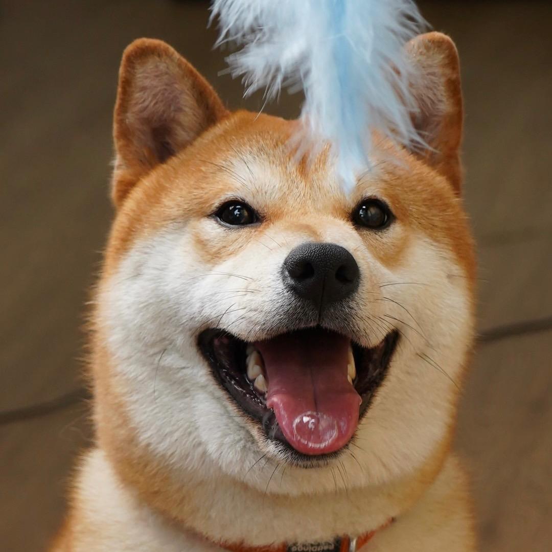 靓仔的生活日记