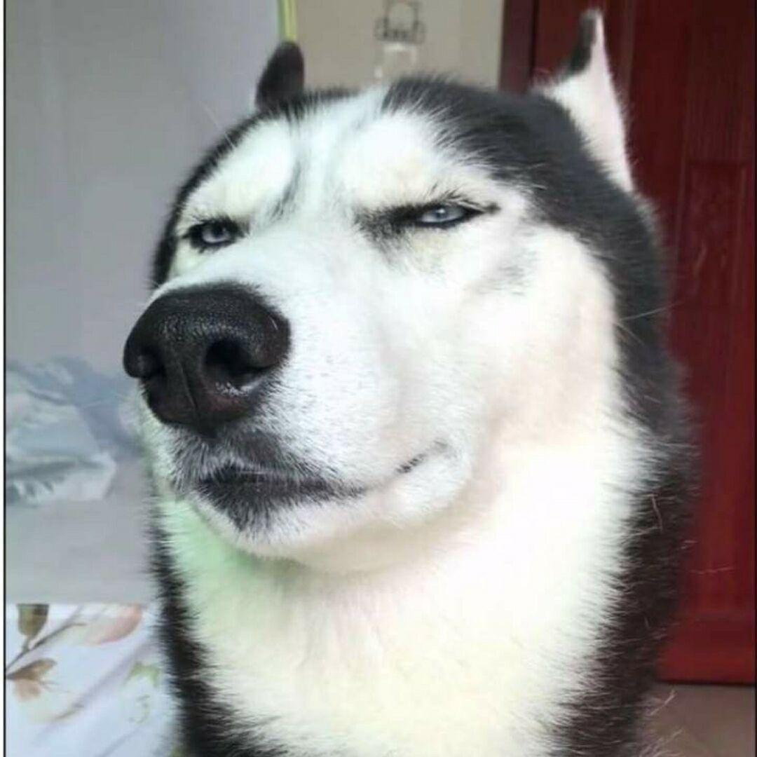 香水有毒