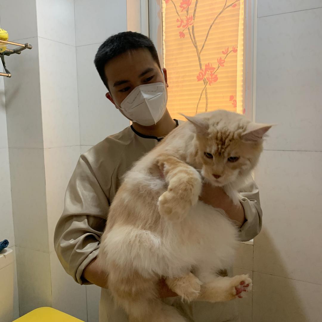 洗猫的大饺子