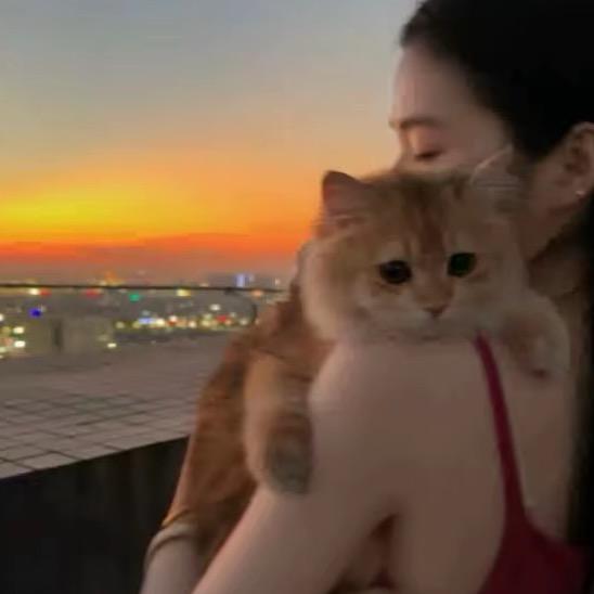 猛踹瘸子那条好腿