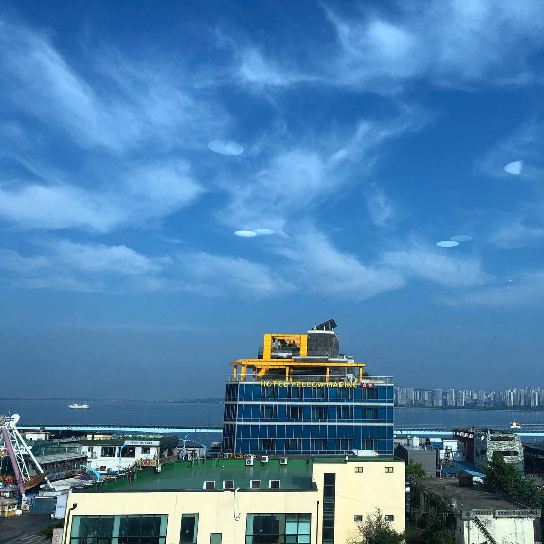 禾小秦