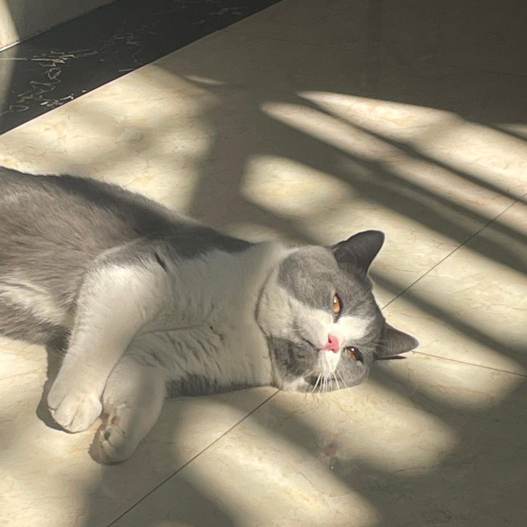 林黛玉醉打蒋门神后大闹天宫座上玉帝宝座