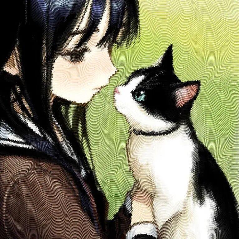 在下猫猫雨大人～