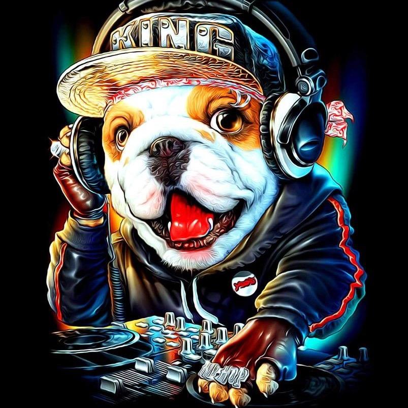 嗨曲DJ【U盘】