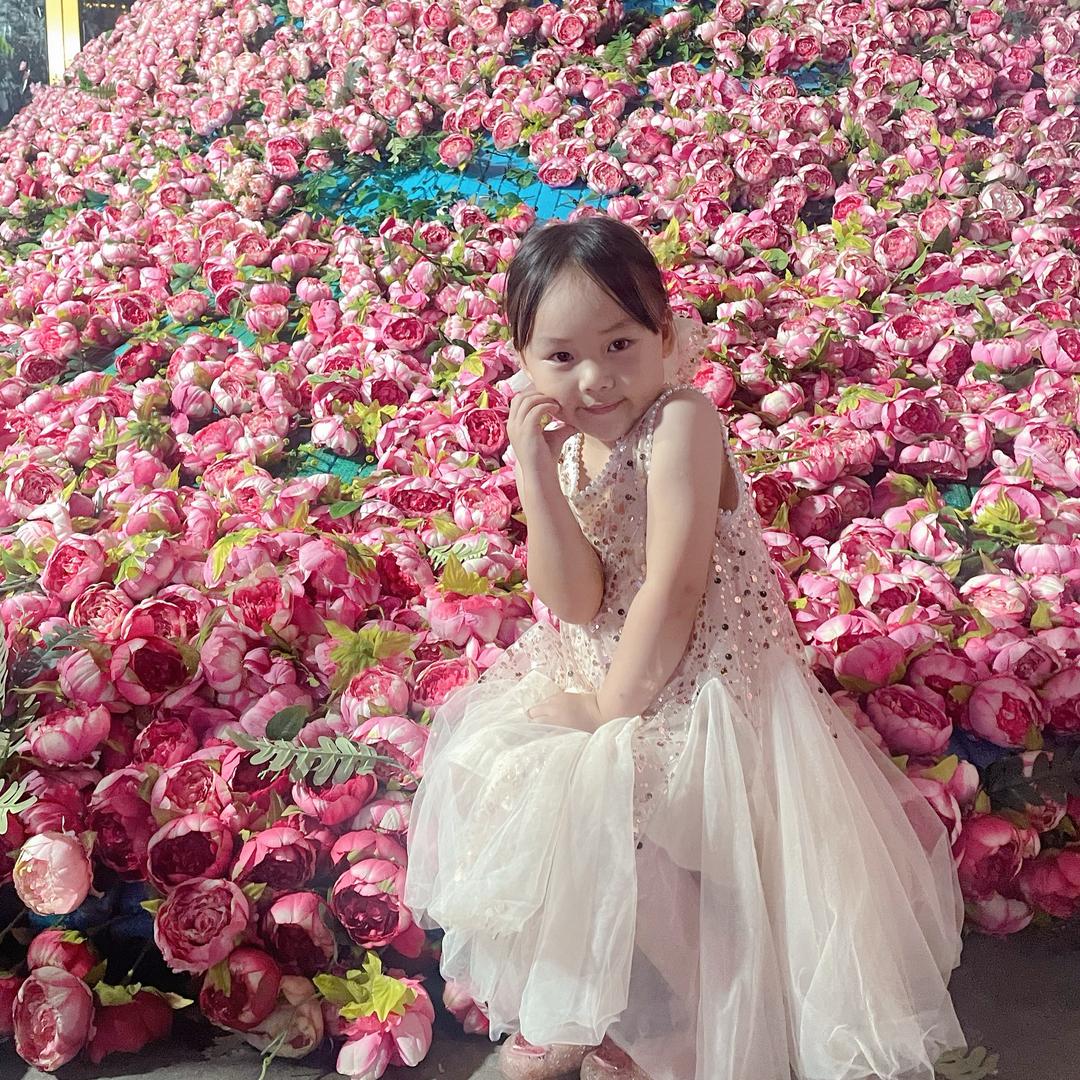安妮baby