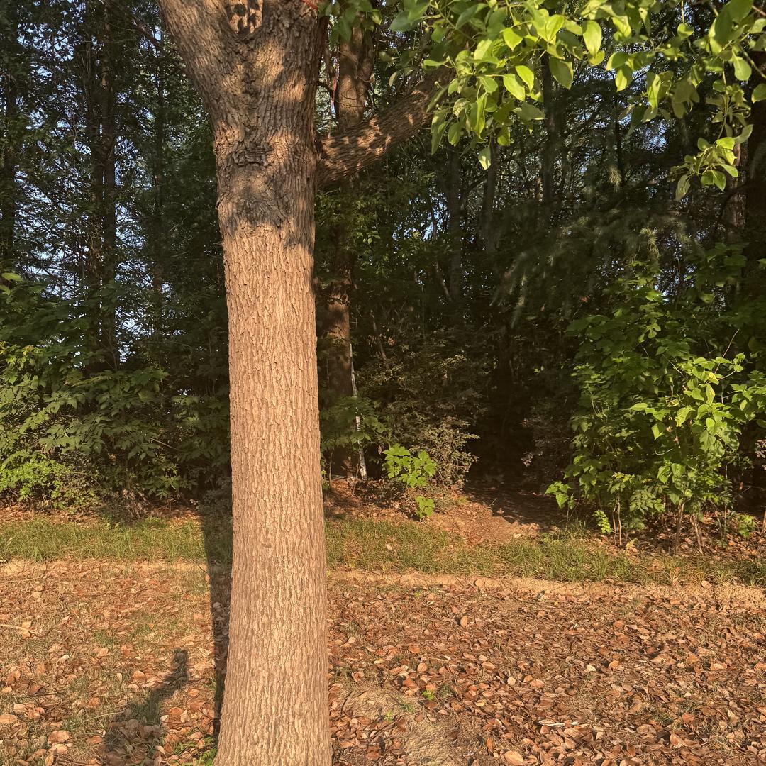 北京宏宇嘉旺严选好货店