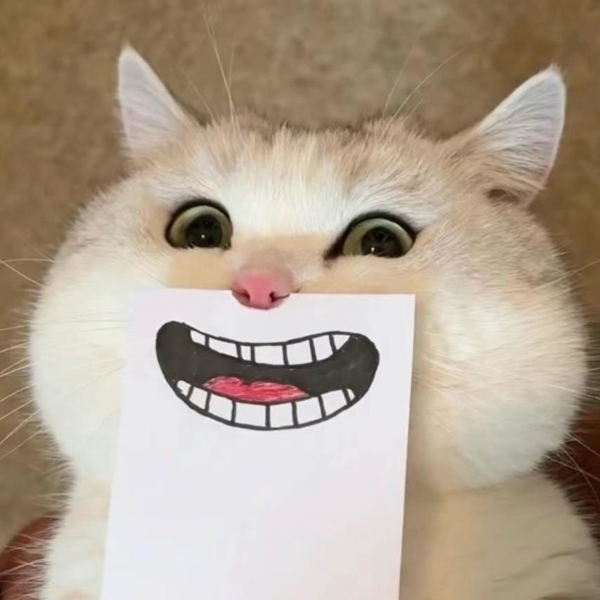 王某人（三角洲行动）