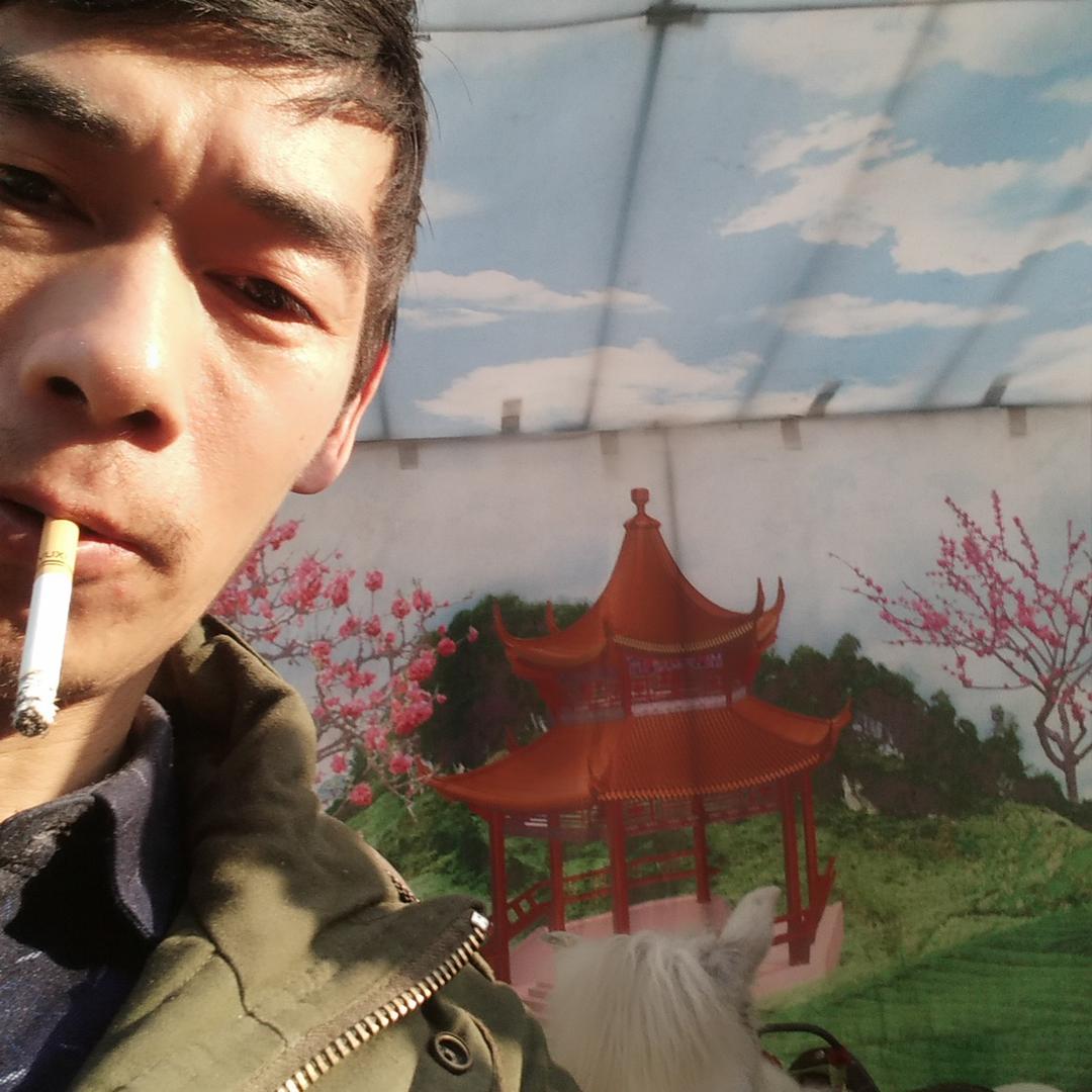 赵桂元