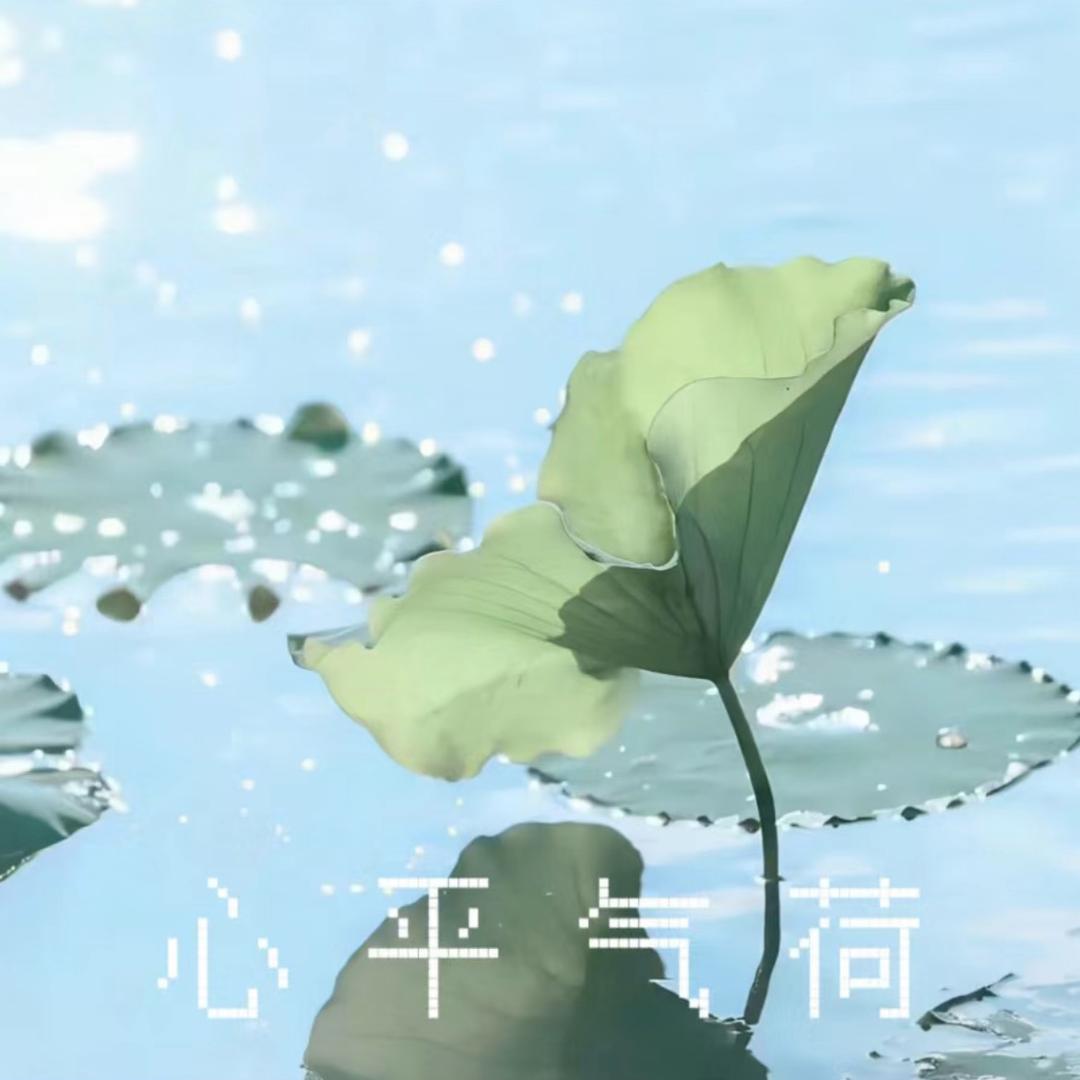 @石