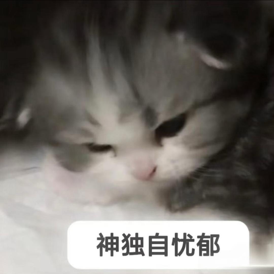 丸少算了算了
