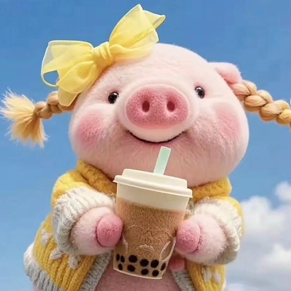 🐽PP