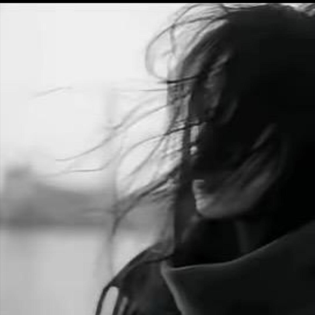 别人都叫我凤凰