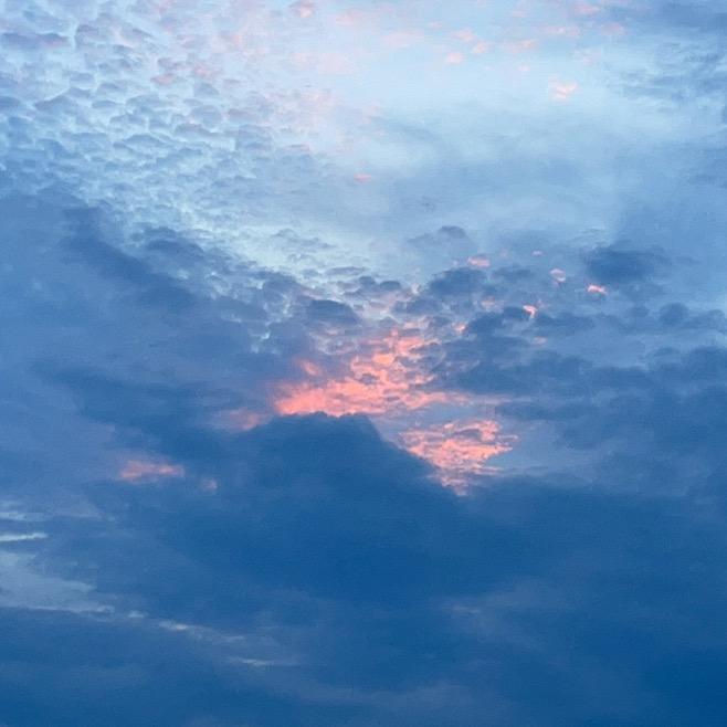 雨水