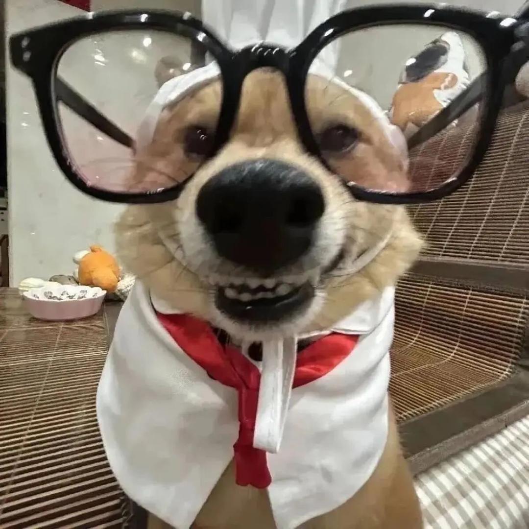 大洋游侠