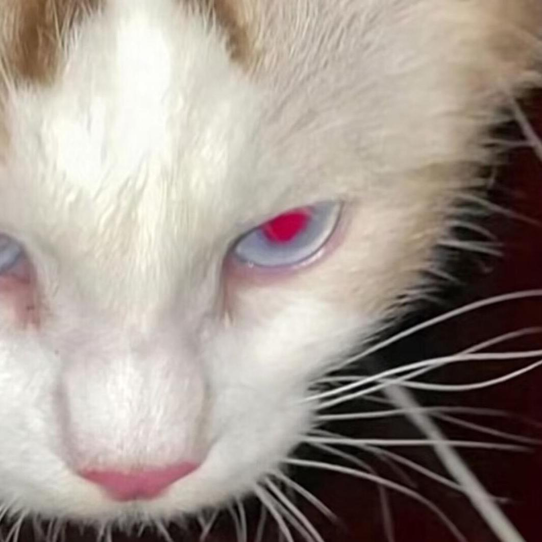 ywww（看过Eason版）