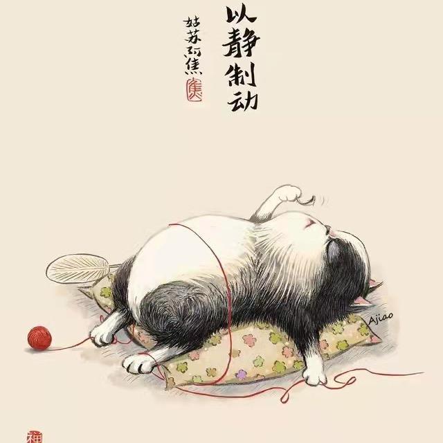 岁月下闲步