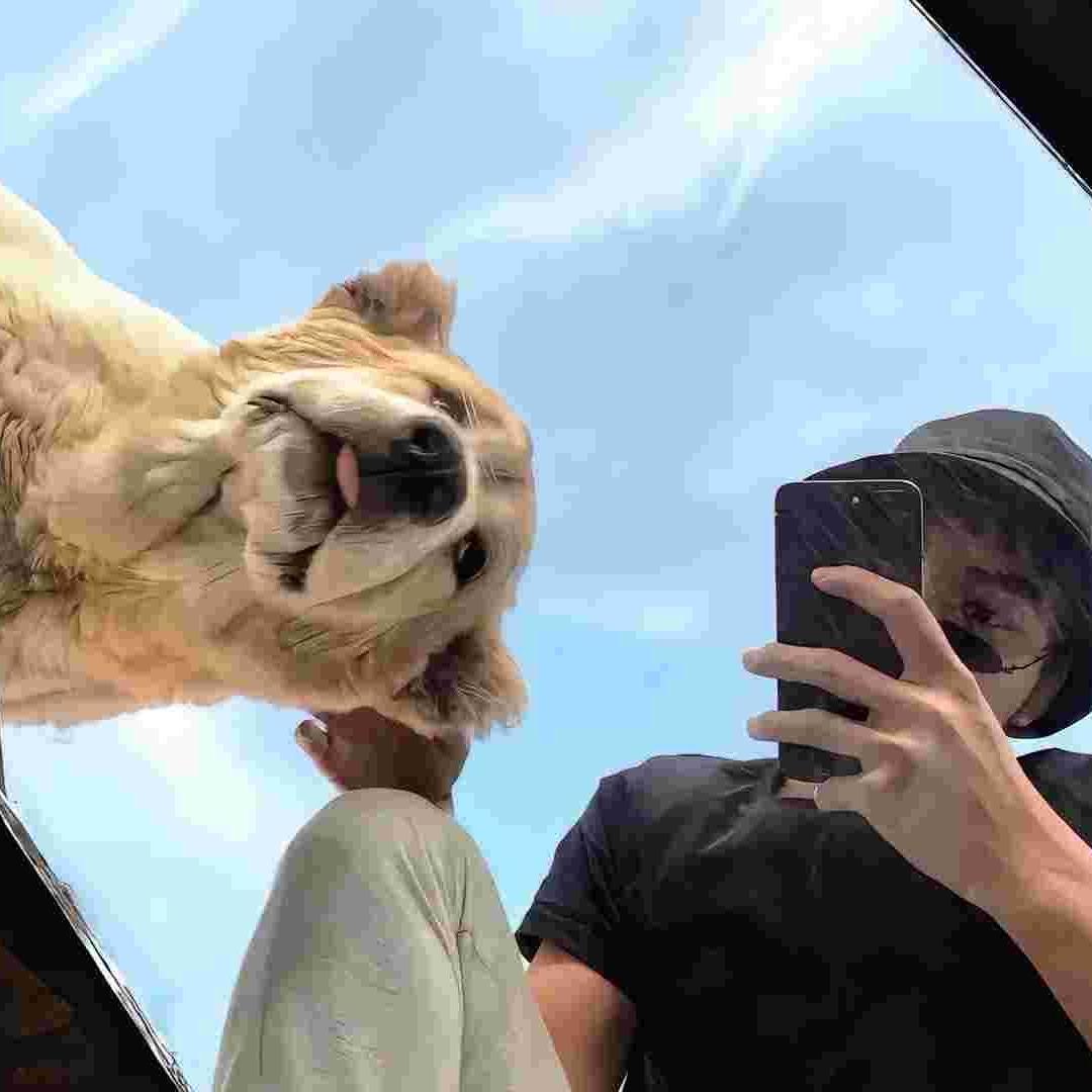 洋君百货