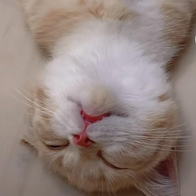 天天担心