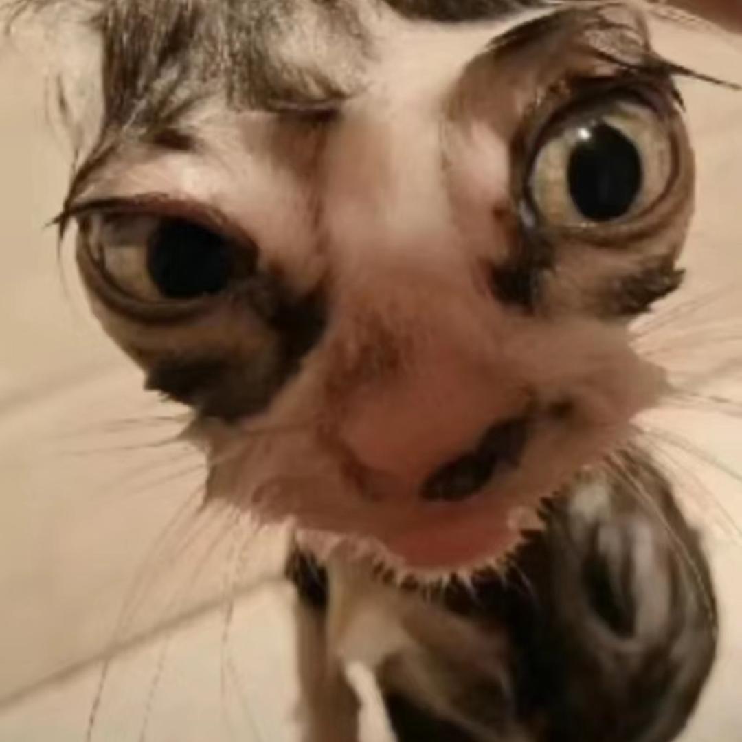 Tttt.