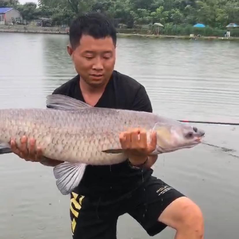 遵化小磊钓场