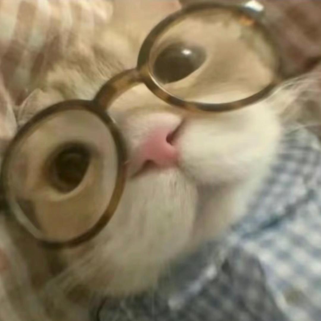 这个女的啥时候能有自己的猫
