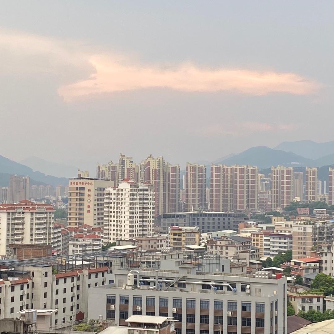 圆圆爱带货