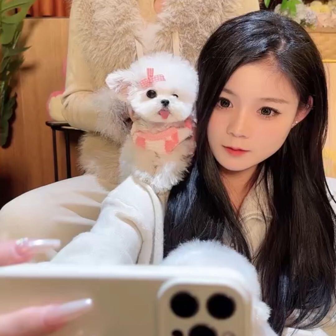 杭州狗猫柠宠物