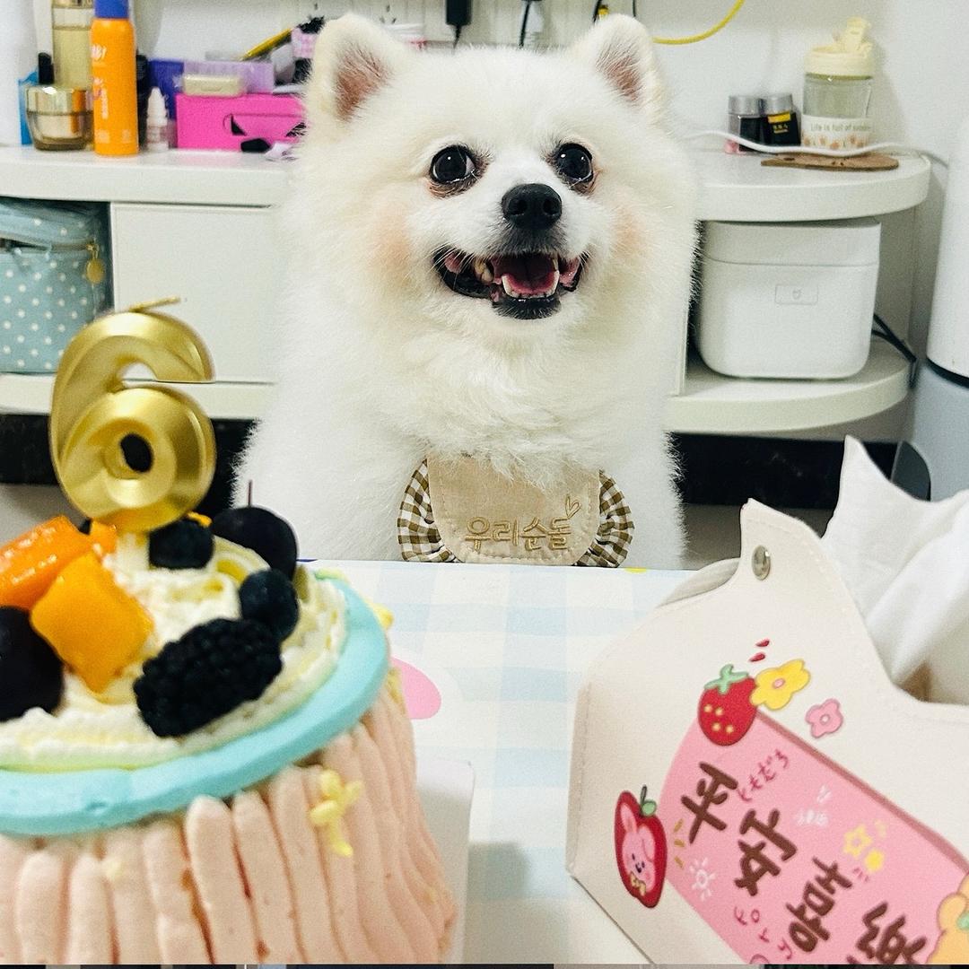 可可
