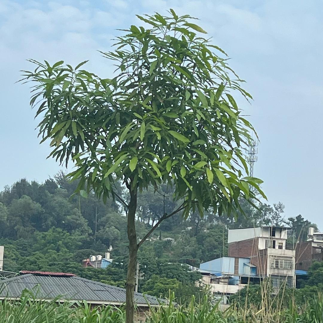 千家万户谈健康A