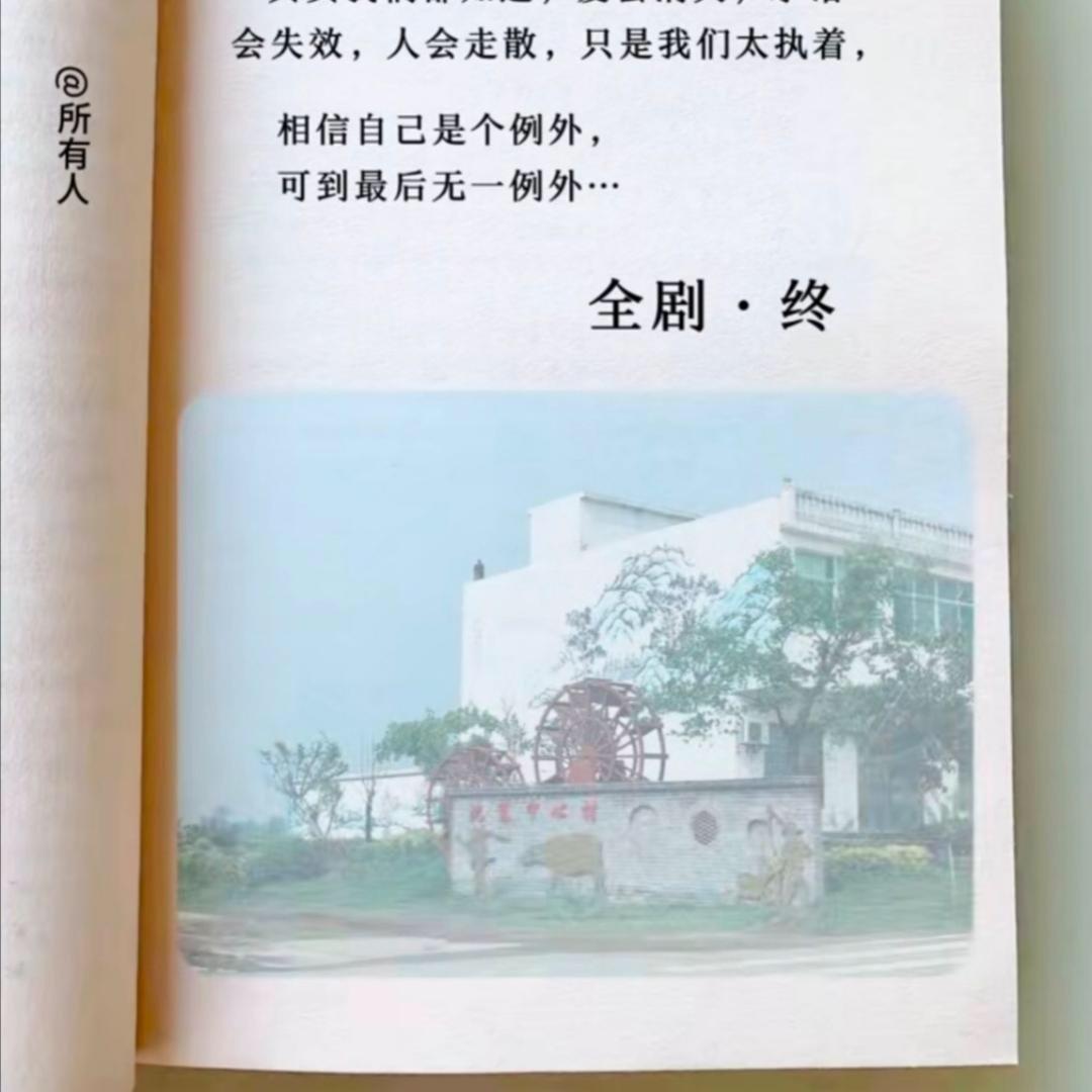 皮木人生