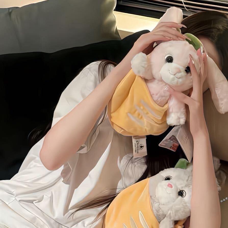 不太聪明的兔叽