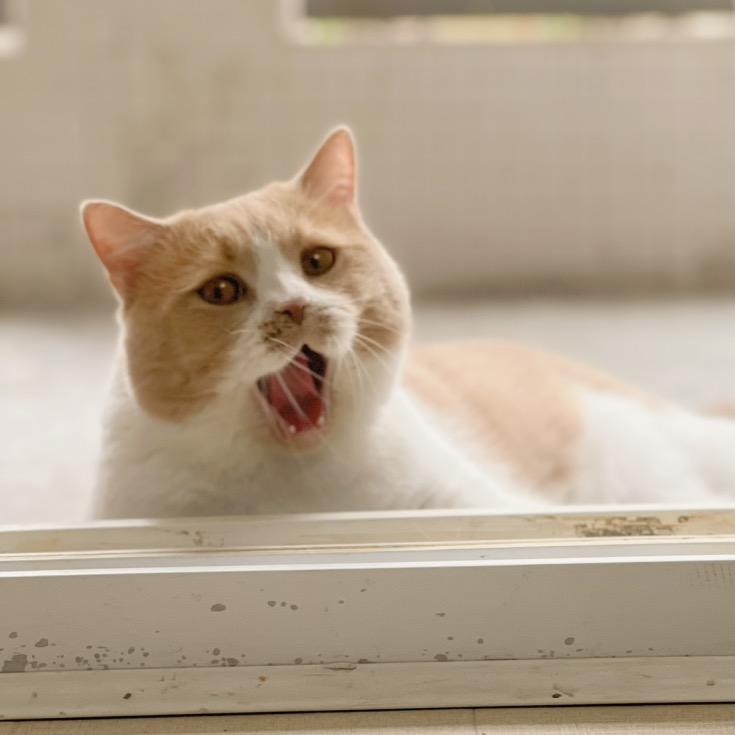 功夫肩颈金牌推荐官-热爱文学的女孩-柒七