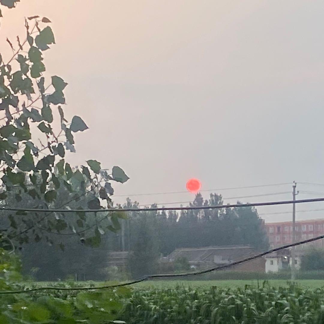 项城市财晨百货