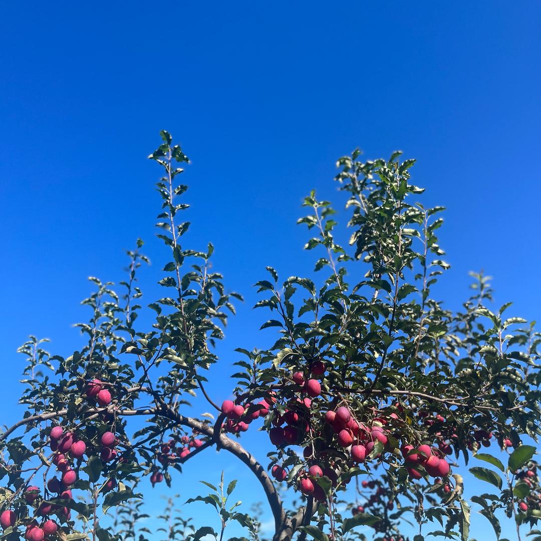 从此以后吧