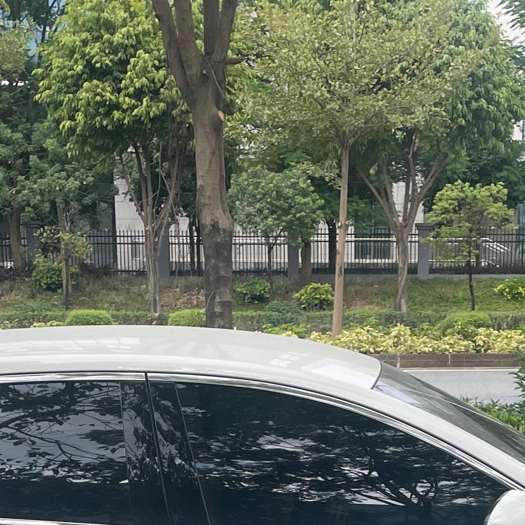 A@道夫