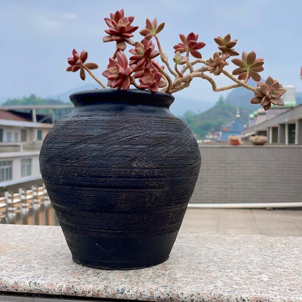 小影花盆推荐