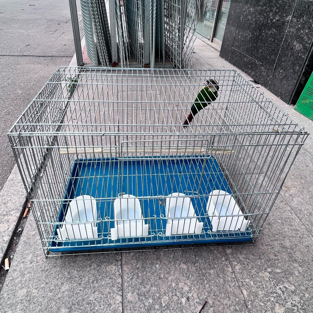 鸟笼鹦鹉笼-张亮筛网