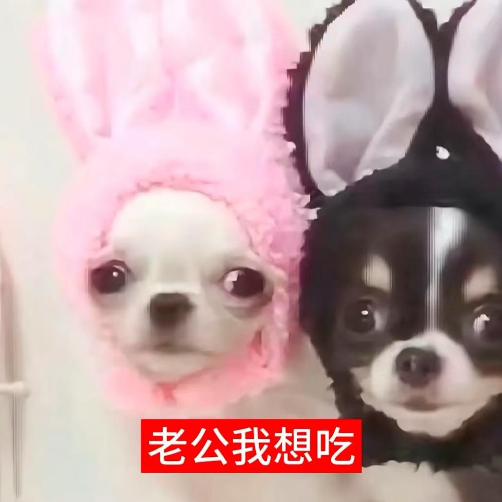 长泊