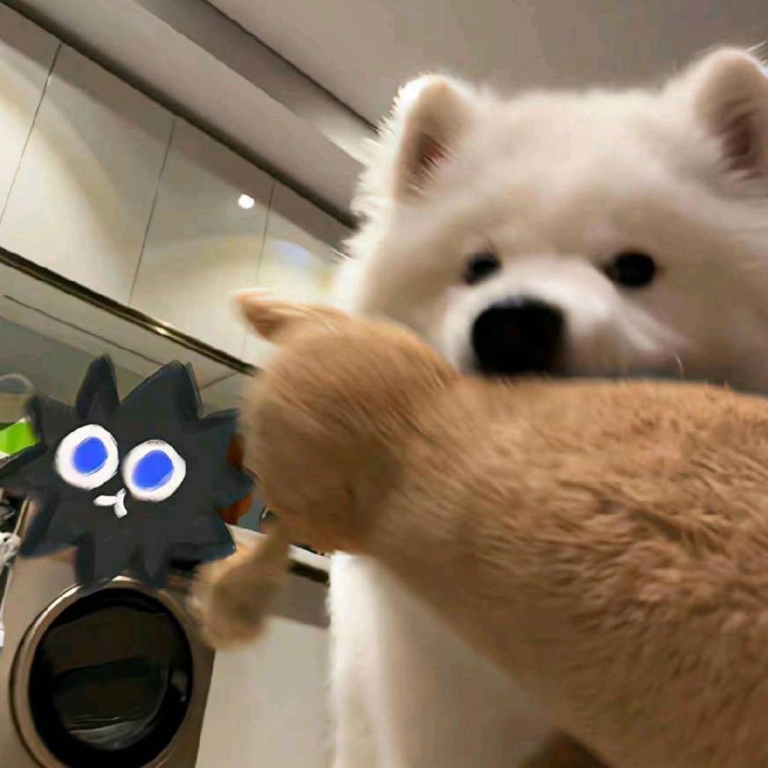 吃了就会胖